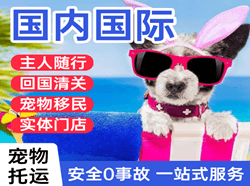 二连浩特航空快运国际宠物托运 【国